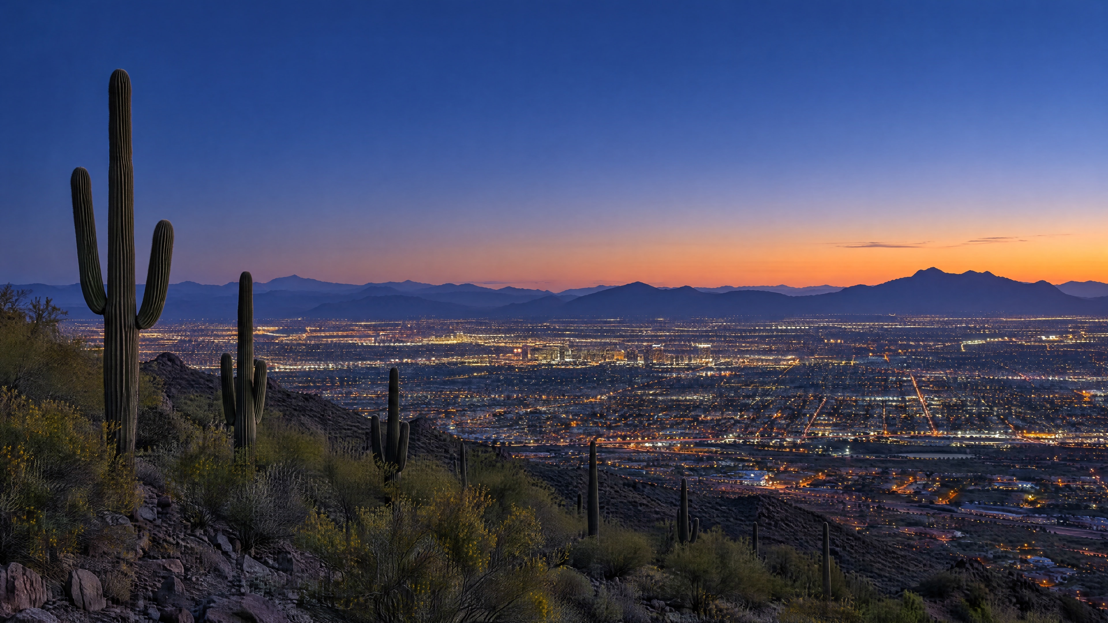 The Phoenix valley at blue hour, saguaros in the foreground and city lights to the mountains.
